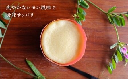 【年内発送】無添加 チーズ の櫻井 チーズケーキ【 5個 セット】[ATA002] スイーツ チーズケーキ 個包装 濃厚 レモン 冷凍 冷蔵 おやつ