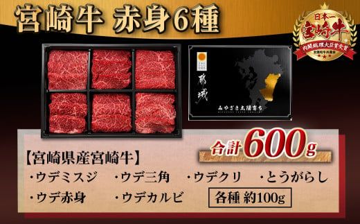 宮崎牛赤身6種 合計約600g_16-2601_(都城市) 牛肉 赤身 希少部位 食べ比べ 焼き肉 焼肉 BBQ ウデミスジ ウデ三角 ウデクリ とうがらし ウデ赤身 ウデカルビ 約100g 計600g 6種類セット