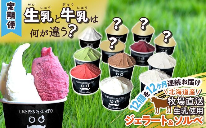 ＜12ヶ月定期便＞北海道産 生乳 ジェラート アイス 毎月12個  詰め合わせ ジェラートセット