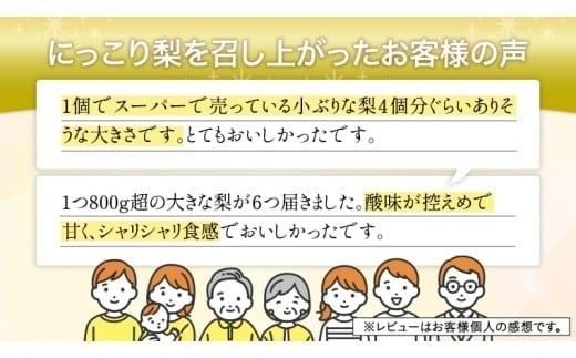 【 JA 北つくば 】 筑西ブランド 認証品 にっこり 5kg 2026年産 先行予約 梨 果物 フルーツ なし ナシ 和梨 [AE030ci]