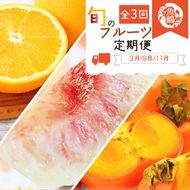 〈定期便〉【3・8・11月 全3回】魚鶴のフルーツ定期便（紀州デコ・桃・富有柿）◇ ※離島への配送不可
