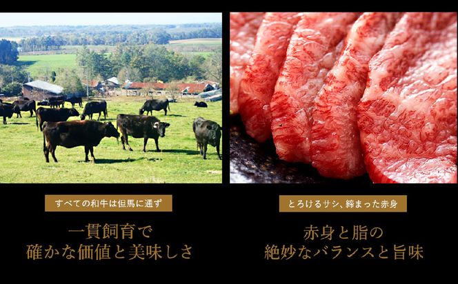 希少部位入り！極上但馬牛 焼肉セット 3種盛り【ロース モモ 希少部位1種 合計600g】牛肉 焼肉 セット 焼き肉 お肉 牛 肉 但馬牛 黒毛和牛 霜降り【但馬ビーフはまだ】【ご好評につき1月以降順次発送】
