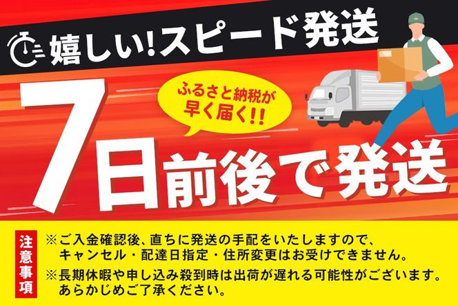 【スピード発送】The SAGA 認定酒  純米酒『光武』720ml×1本【さがの華 日本酒 地酒 金賞 日本酒アワード 家飲み ギフト プレゼント 芳醇軽快 スッキリ 米の旨み】(H022123)