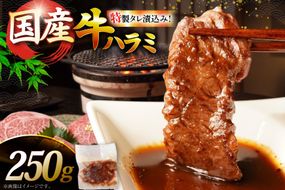 牛肉 焼肉 国産 特製たれ漬 牛ハラミ サガリ 250g [宇美ホルモン 福岡県 宇美町 um40azp100002] ハラミ はらみ 牛はらみ 牛 肉 焼き肉 ホルモン タレ漬け たれ漬け