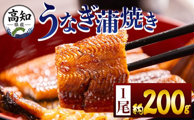 うなぎ 高知県産蒲焼きうなぎ ２００ｇ １尾 fb-0159