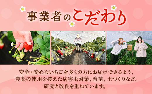 〈数量限定〉【先行予約】さくら市産イチゴ（とちあいか）290g×4パック｜いちご イチゴ 苺 先行予約 栃木県 果物 くだもの フルーツ とちあいか 新鮮 贈答 ギフト ※2025年12月下旬～2026年3月下旬頃に順次発送予定