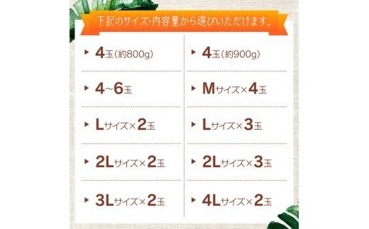 ※内容量が選べる※【令和9年発送】宮崎県産完熟マンゴー　「レッドクイーン」Lサイズ～4Lサイズ 【 果物 フルーツ マンゴー 宮崎県産 完熟マンゴー みやざきマンゴー 先行予約 季節限定 】 [B03210 B03211 B03212 B03213 B03214 B03215 B03216 B03217 B03218 B03219]