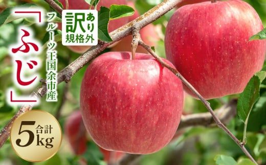 ykC]szy2025N11{蔭zt[c]sY󂠂uӂv5kgyjgόʎz_Y074-0154