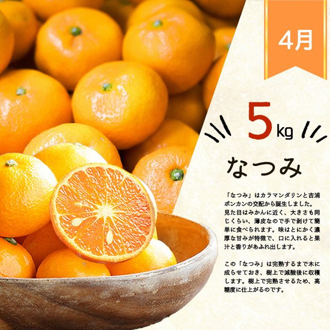定期便 全4回】紀州和歌山産旬の柑橘セット（みかん・ポンカン・清見