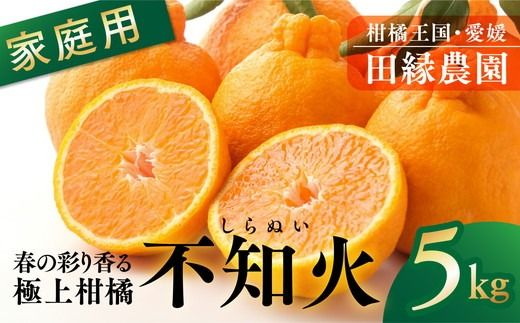 【先行予約】【家庭用】不知火 5kg ｜ 柑橘 みかん ミカン フルーツ 果物 でこぽん デコポンと同品種 愛媛　※離島への配送不可　※2025年2月上旬～3月上旬頃に順次発送予定