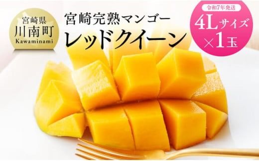 【令和7年発送】宮崎県産完熟マンゴー 「レッドクイーン」4L×1玉 【 果物 フルーツ マンゴー 宮崎県産 完熟マンゴー みやざきマンゴー 先行予約 数量限定 期間限定 】[D03218]