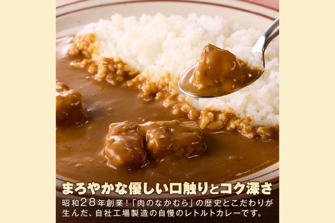 【B-192】「特製肉屋のカレー」ポークカレー10食セット