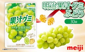 明治 果汁グミ マスカット 54g × 30個 グミ 葡萄 ブドウ お菓子 おやつ フルーツ 果物 果汁 詰め合わせ 詰合せ セット 人気 まとめ買い 明治 静岡県 藤枝市