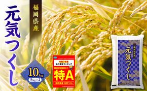 米 元気つくし 10kg