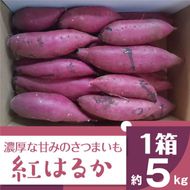 2025年度産 濃厚な甘みのさつまいも 紅はるか 約5kg｜さつまいも 芋 お芋 紅はるか 渋谷農園 茨城県 行方市(BZ-15)
