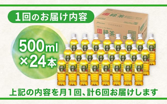 【全6回定期便】八女 玉露入り 緑茶 500ml × 24本 糸島市 / スターナイン お茶 ペットボトル [ARM016] お茶 ペットボトル 500ml 24本 送料無料 緑茶 国産 常温