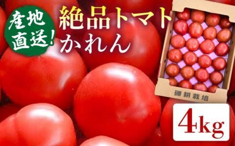[先行受付]糸島産 絶品 トマト かれん ( 4kg 28玉 前後 ) [2026年11月上旬以降順次発送]糸島市 / シーブ