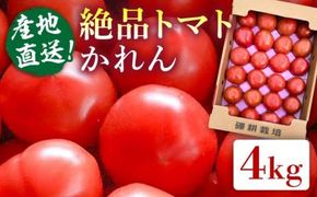 【先行受付】糸島産 絶品 トマト かれん ( 4kg 28玉 前後 ) 【2026年11月上旬以降順次発送】糸島市 / シーブ[AHC019]