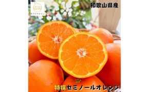 【特撰】セミノール 2kg+200g(補償分)｜ みかん 高級 くだもの 晩柑 柑橘 和歌山
