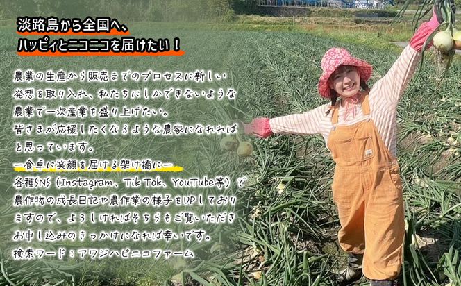 淡路島産ブランド新玉ねぎ 極早生 「にじたま」  3kgダンボール入り【発送時期2026年2月中旬～4月頃】