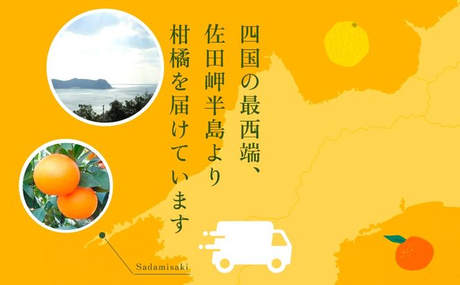 【先行予約】【数量限定】あいか（生果5kg）※離島への配送不可（2025年12月上旬より順次発送予定） IKTBD005