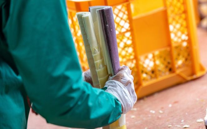 【年内発送】福岡産 糸島メンマ 2パック 糸島市 / あいしん食品株式会社 / おつまみ ラーメン[AGI002]