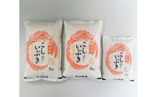 yVszyߘa7NYāz Ԃ 12kgi5kg×2A2kg×1j VsDY@1067104