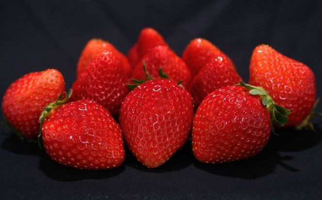 【先行予約】出会いの森いちご園 スカイベリー （290g×4パック） | いちご イチゴ 苺 栃木県 果物 くだもの フルーツ スカイベリー 新鮮 贈答 ギフト デザート スイーツ ※2026年12月～発送