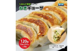 九条ねぎ農家が作ったねぎギョーザ（12個入×10袋）ぎょうざ 餃子 ギョーザ 九条ねぎ 京野菜 冷凍 冷凍餃子 惣菜 国産豚肉 ジューシー おかず つまみ 酒の肴 夕飯 晩御飯 手軽 便利