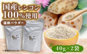 れんこんパウダー 2袋  レンコン 調味料 野菜 愛西市 / しょうがやさん 【配達不可：離島】[AEAO011]