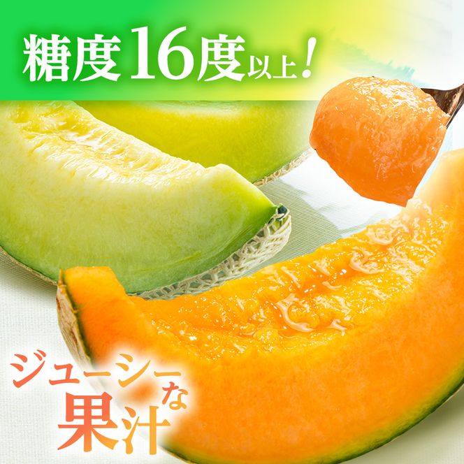 メロン 先行 予約 青森 減農薬栽培メロン 1玉 糖度16度以上保証 減農薬 青肉 赤肉 青肉メロン 赤肉メロン フルーツ 果物 旬のフルーツ 旬の果物 旬 夏 レビュー 高評価 先行予約 2026 2026年 青森県