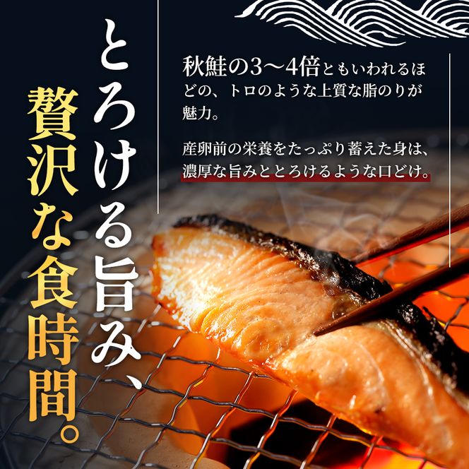 鮭 北海道産 厚岸産 甘塩 時しらず 切身 1.7kg  [ 時鮭 時サケ さけ 焼き魚 朝食 魚 ]