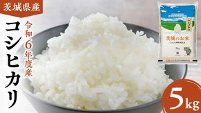 【 令和6年産 】 茨城県産 コシヒカリ 5kg 米 お米 コメ 白米 こしひかり 茨城県 精米 新生活 応援 [DK001ci]