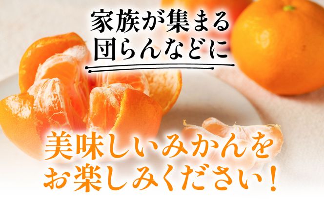 【先行予約】 八代市東陽産山本さん家の「熊本EC11みかん」 約5kg みかん 柑橘 フルーツ 果物 果実 ミカン 蜜柑 熊本県 八代市 【2026年11月上旬より順次発送】