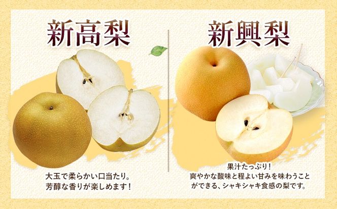 【2026年先行予約】熊本県氷川町産 吉野梨 品種おまかせ 約2kg 約3kg 約4kg(2～16玉前後) 《8月上旬-9月末頃出荷》---hkw_lcl_251_2kg---