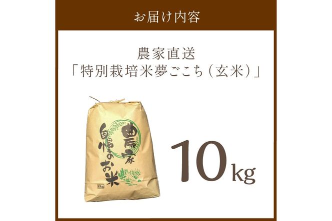 2025年産 京都・京丹後峰山 特別栽培米夢ごこち 10kg 【玄米】　MF00064