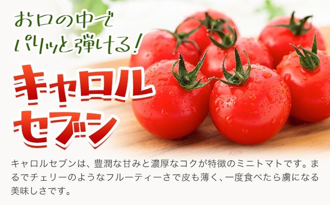 トマト キャロルセブン ミニトマト 2kg GOGO農園 《11月上旬-5月末頃出荷》 和歌山県 日高川町 野菜 とまと サラダ カプレーゼ お弁当 青果物---wshg_gof41_11j5m_26_14000_2kg---
