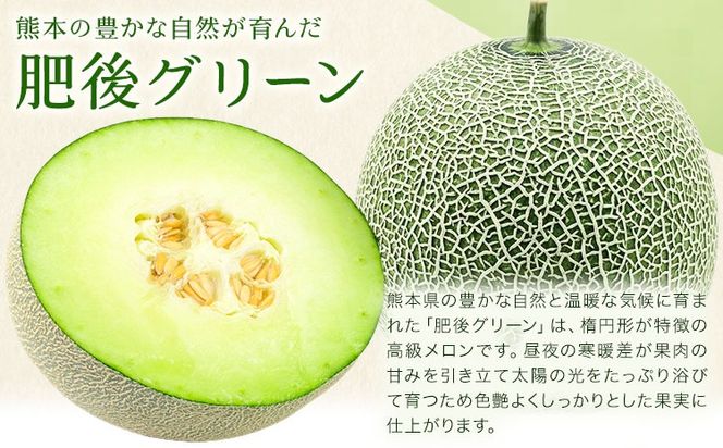 肥後グリーンメロン 1玉 熊本 株式会社エフビーネット《4月上旬-7月上旬頃出荷》熊本県 氷川町 果物 フルーツ 熊本県産 メロン 肥後グリーン めろん---hkw_efb_1_1p---
