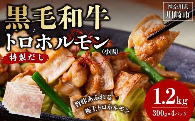 黒毛和牛トロホルモン（小腸）　特製だし1.2kg ( 300g ×4パック )【配送月が選べる】
