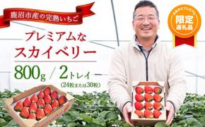 【ふるプレ限定品】プレミアムな完熟スカイベリー（24粒または30粒）2トレイ800g 【先行予約/数量限定】| 栃木県 鹿沼市 産地直送 旬 いちご こだわり 高級品 贈答用 イチゴ 苺 果物 フルーツ 期間限定 ※2026年12月～発送
