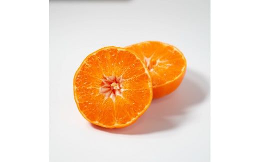 【先行予約：2027年2月中旬～発送】 訳あり 甘平5kg みかん 蜜柑 mikan 甘平 ポンカン 高級 人気 ブランド 柑橘 果物 フルーツ 甘い おいしい お取り寄せ 産地直送 農家直送 国産 特産品 中山農園 愛媛県 愛南町
