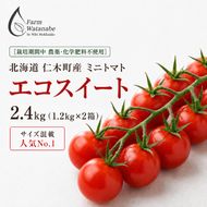 2027年発送 先行受付[栽培期間中 農薬・化学肥料不使用] 北海道 仁木町産 ミニトマト エコスイート 1.2kg×2箱 サイズ混載 トマト 野菜 [Farm Watanabe]