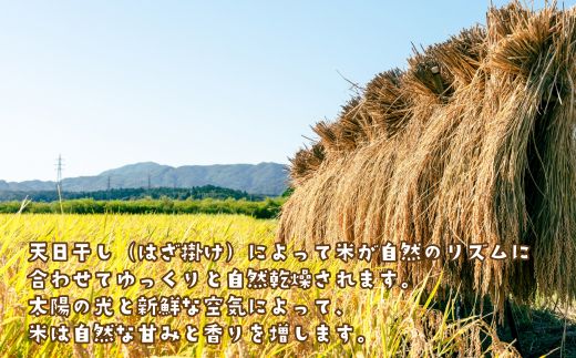 健幸農園の天日干し米10kg 白米