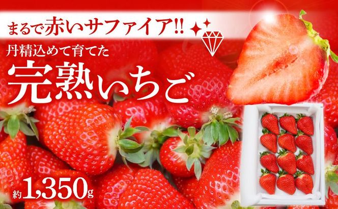 （予約受付中）【12月以降順次発送】まるで赤いサファイア!!丹精込めた完熟いちご!! 約1350g H130-015