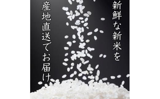 和歌山県産 キヌヒカリ 2kg(2025年産) / 白米 コメ 産地直送 米 こめ ご飯 ごはん コシヒカリ 【sml138】
