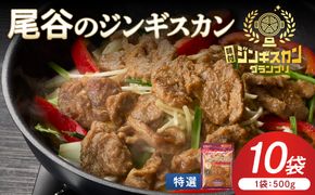 【特選ラムの旨味が凝縮】尾谷のジンギスカン 特選味付ラム 500g×10袋 ( 北海道 肉 羊肉 ラム肉 じん ジンギスカン )【045-0030】