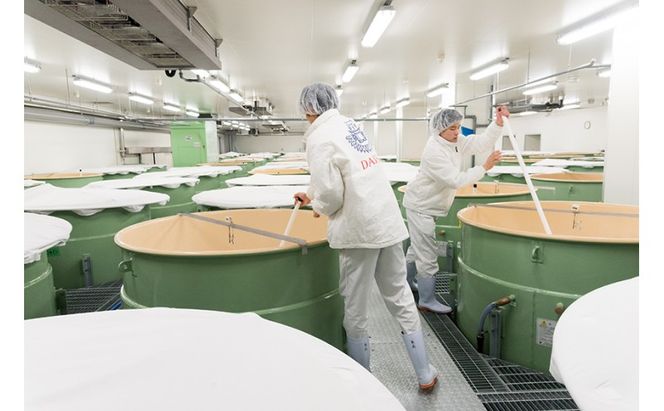 獺祭 純米大吟醸 磨き二割三分 720ml×2本 福岡県産山田錦使用 日本酒 酒 お酒 純米大吟醸 大吟醸