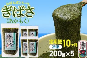 【定期便10ヶ月】ぎばさ(あかもく) 200g×5個セット 海藻 男鹿市 秋田県 [ぎばさ あかもく 海藻 磯の香り 強い粘り フコイダン フコキサンチン 高栄養価 食物繊維 シャキシャキ食感 秋田県 男鹿市]|23_ogn-240510