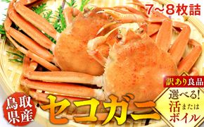 922.【活】鳥取県産セコガニ　訳あり　良品7~8枚詰《かに カニ 蟹 セコガニ》※2025/11/6～2025/12/25に順次発送予定※着日指定不可  離島不可（北海道、沖縄本島は配送可能） 313726_AL002VC01