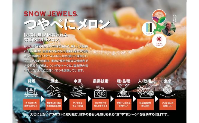 【2026年6～8月発送】 先行受付 北海道 富良野産 赤肉 つやべに メロン 4～5玉 箱 8kg以上 (ふらの 丸山農園) メロン フルーツ 果物 新鮮 甘い 贈り物 ギフト 道産 ジューシー おやつ ふらの ブランド 夏 